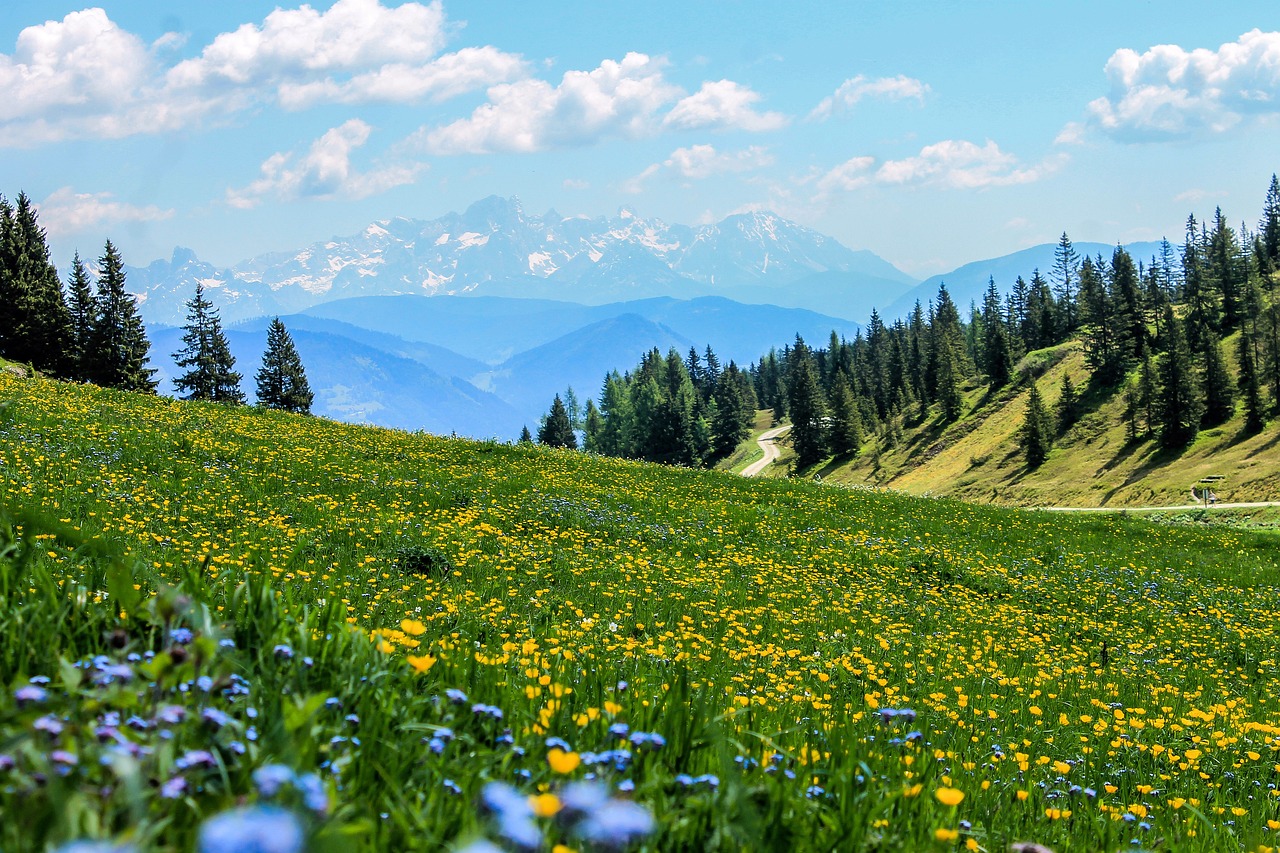 The Role of Field Studies in Effective Conservation Planning